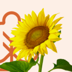 Sowing the seeds for financial success
